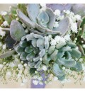 Ramo de novia con plantas suculentas