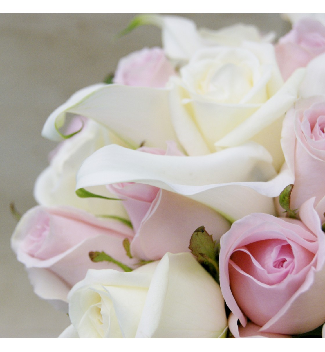 Ramo de novia con calas blancas y rosas blancas y rosas.