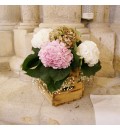 Decoración Iglesia de San Pedro Ciudad Real con hortensia blanca y rosa
