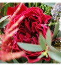 Ramo de novia con rosa inglesa fucsia y proteas