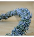 Peineta tocado con paniculata preservada azul y plata