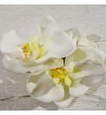 Ramo de novia preservado abanico con orquidea